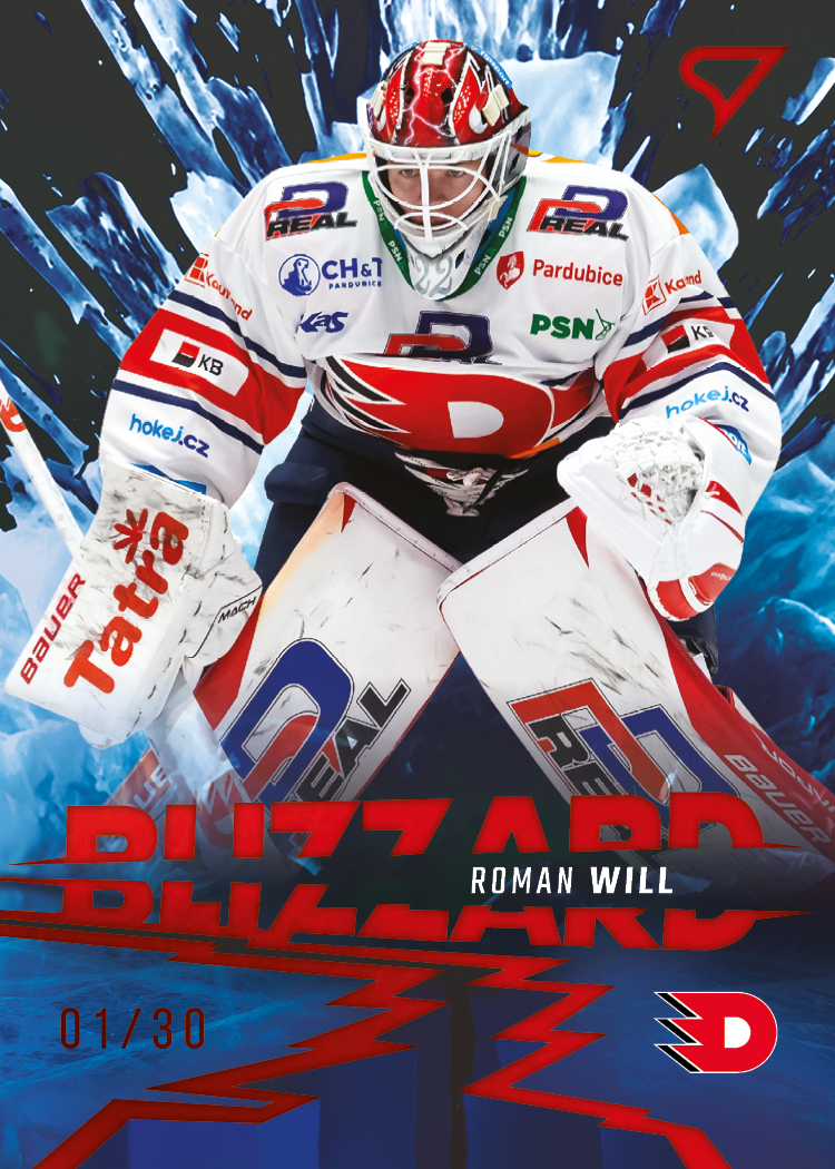 Blizzard parallel x/30