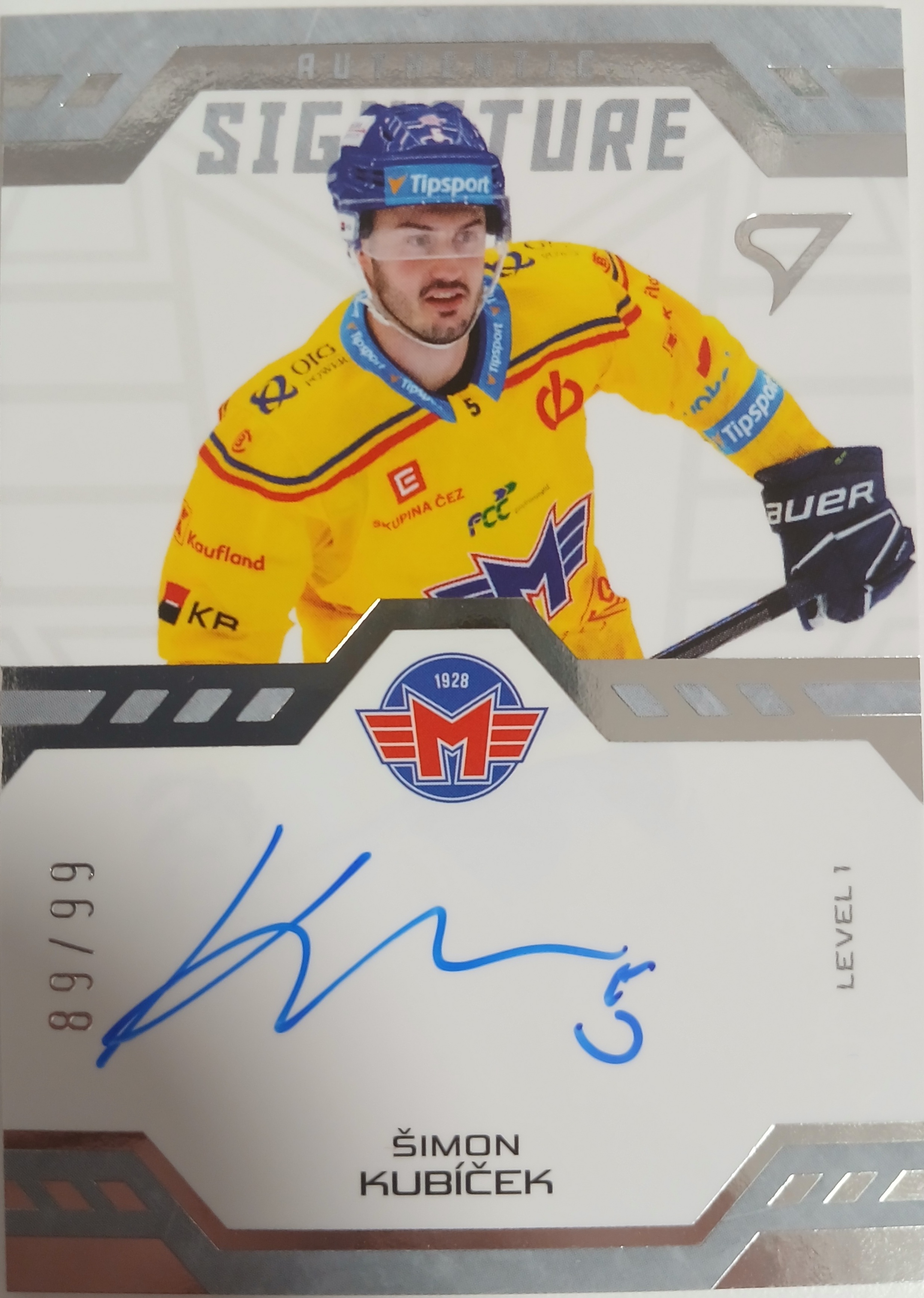 Authentic Signature x/99