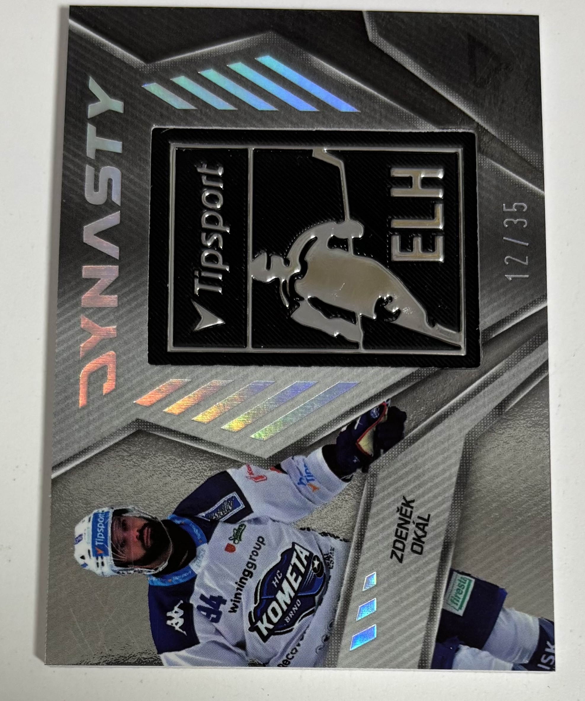 Dynasty Silver Logo xx/35