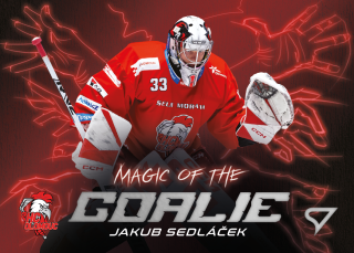 Frodl Dominik Magic of the goalie Tipsport extraliga 23/24 #12