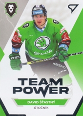 Šťastný David Team Power Tipsport extraliga 21/22 #12