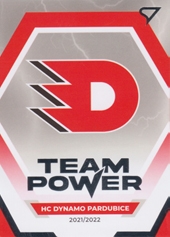 HC Dynamo Pardubice Team Power Tipsport extraliga 21/22 #17