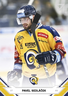 Sedláček Pavel Tipsport extraliga 21/22 #233
