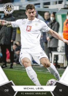 Leibl Michal 21-22 Fortuna Liga #248