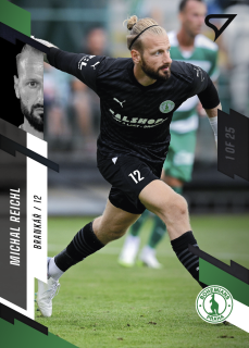 Reichl Michal 23-24 Fortuna Liga #43 Parallel  black 1of25