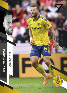 Cedidla Martin 23-24 Fortuna Liga #176 Parallel  black 1of25