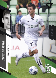 Svozil Jaroslav 23-24 Fortuna Liga #190 Parallel  black 1of25