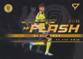 Tkáč David Flash parallel 22/35 23-24 Fortuna Liga #17