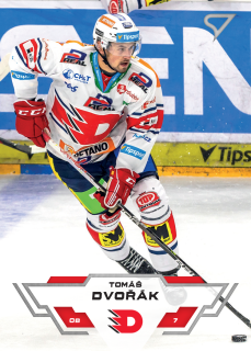 Dvořák Tomáš Tipsport extraliga 23/24 #41