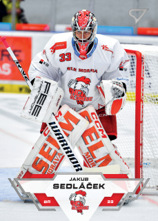 Sedláček Jakub Tipsport extraliga 23/24 #128
