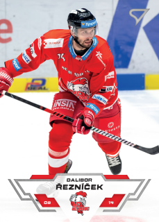 Řezníček Dalibor Tipsport extraliga 23/24 #132