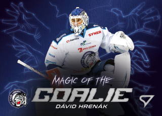 Hrenák Dávid Magic of the goalie Tipsport extraliga 23/24 #8