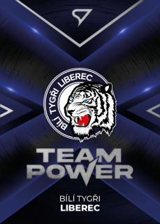 Logo Bílí Tygři Liberec Team Power Tipsport extraliga 23/24 #17