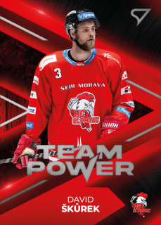 Škůrek David Team Power Tipsport extraliga 23/24 #22