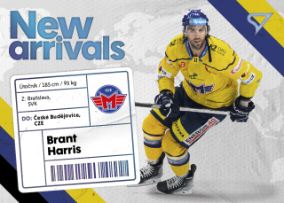 Harris Brant New Arrival Tipsport extraliga 23/24 #17
