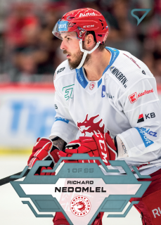 Nedomlel Richard blue parallel 1of95 Tipsport extraliga 23/24 #5