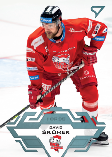 Škůrek David Blue Parallel Tipsport extraliga 23/24 #134