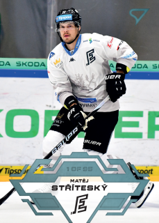 Stříteský Matěj Blue Parallel Tipsport extraliga 23/24 #152