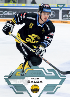Šalda Radim Blue Parallel Tipsport extraliga 23/24 #186