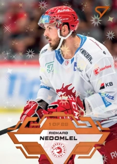 Nedomlel Richard Gold Parallel Tipsport extraliga 23/24 #5