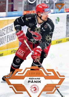 Pánik Richard Gold Parallel Tipsport extraliga 23/24 #14