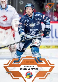  Bukarts Roberts Gold Parallel Tipsport extraliga 23/24 #63