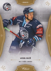 Bulíř Michal OFS 20-21 II. serie #210