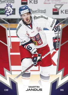 Jandus Martin hokejové česko #13