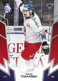 Tomášek David hokejové česko #60
