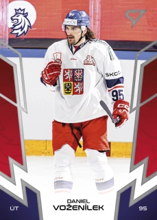 Voženílek Daniel hokejové česko #61
