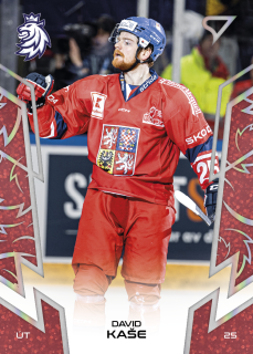 Kaše David hokejové česko red parallel #38
