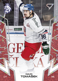Tomášek David hokejové česko red parallel #60