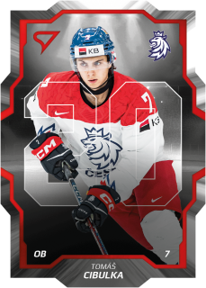 Cibulka Tomáš hokejové česko repre U20 #5