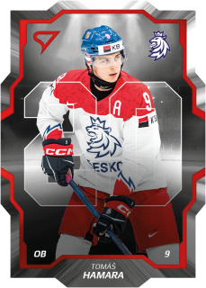 Hamara Tomáš hokejové česko repre U20 #8