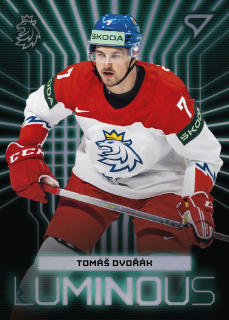 Dvořák Tomáš hokejové česko Luminous silver #4