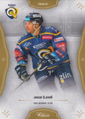 Šlahař Jakub OFS 20-21 II. serie #254