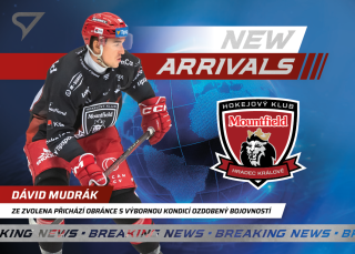 Mudrák Dávid New Arrival Tipsport extraliga 24/25 #20