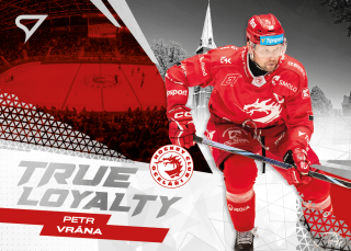 Vrána Petr True Loyalty Tipsport extraliga 24/25 #2