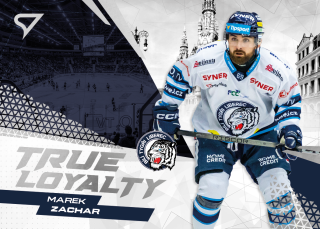 Zachar Marek True Loyalty Tipsport extraliga 24/25 #13