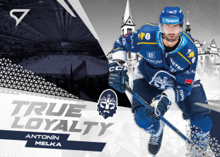 Melka Antonín True Loyalty Tipsport extraliga 24/25 #26