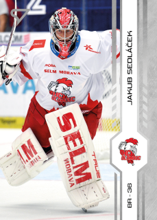 Sedláček Jakub Tipsport extraliga 24/25 #164