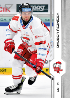 Řezníček Dalibor Tipsport extraliga 24/25 #169