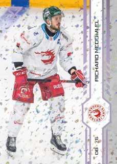 Nedomlel Richard puck marks Tipsport extraliga 24/25 #7