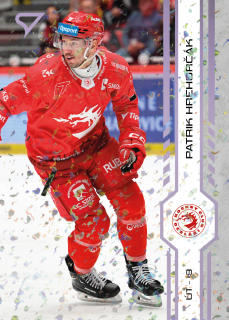 Hrehorčák Patrik puck marks Tipsport extraliga 24/25 #14