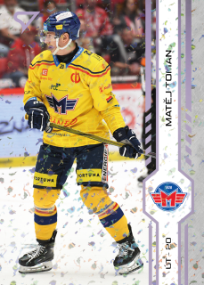 Toman Matěj puck marks Tipsport extraliga 24/25 #107