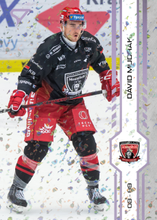 Mudrák Dávid puck marks Tipsport extraliga 24/25 #134