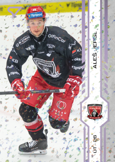Jergl Aleš puck marks Tipsport extraliga 24/25 #139