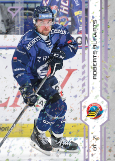 Bukarts Roberts puck marks Tipsport extraliga 24/25 #157