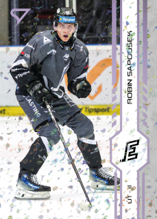 Sapoušek Robin puck marks Tipsport extraliga 24/25 #198