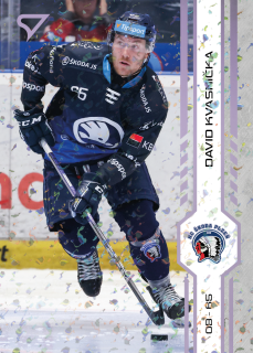 Kvasnička David puck marks Tipsport extraliga 24/25 #202